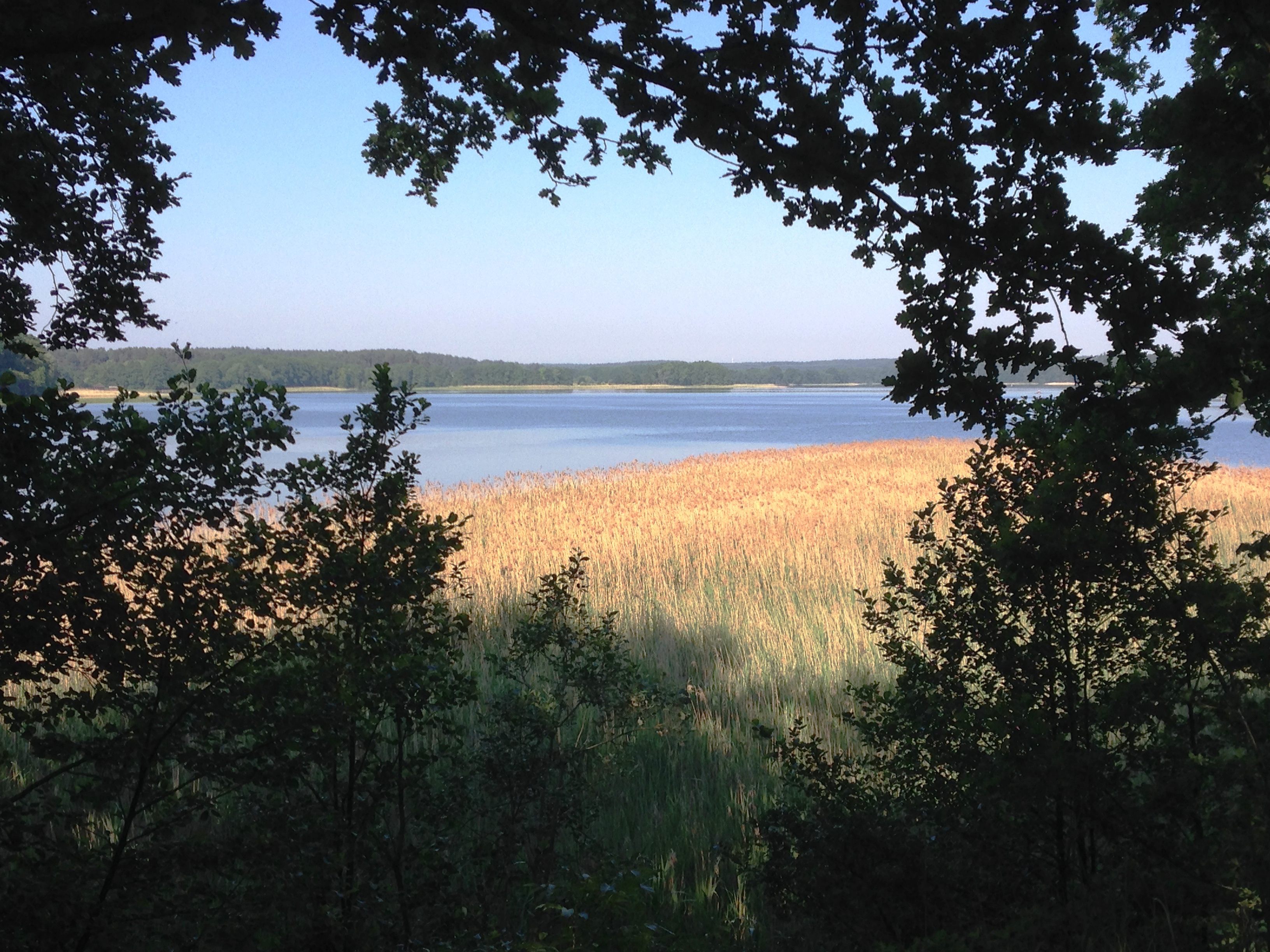 Fleeth Ferienwohnung Blick auf den See