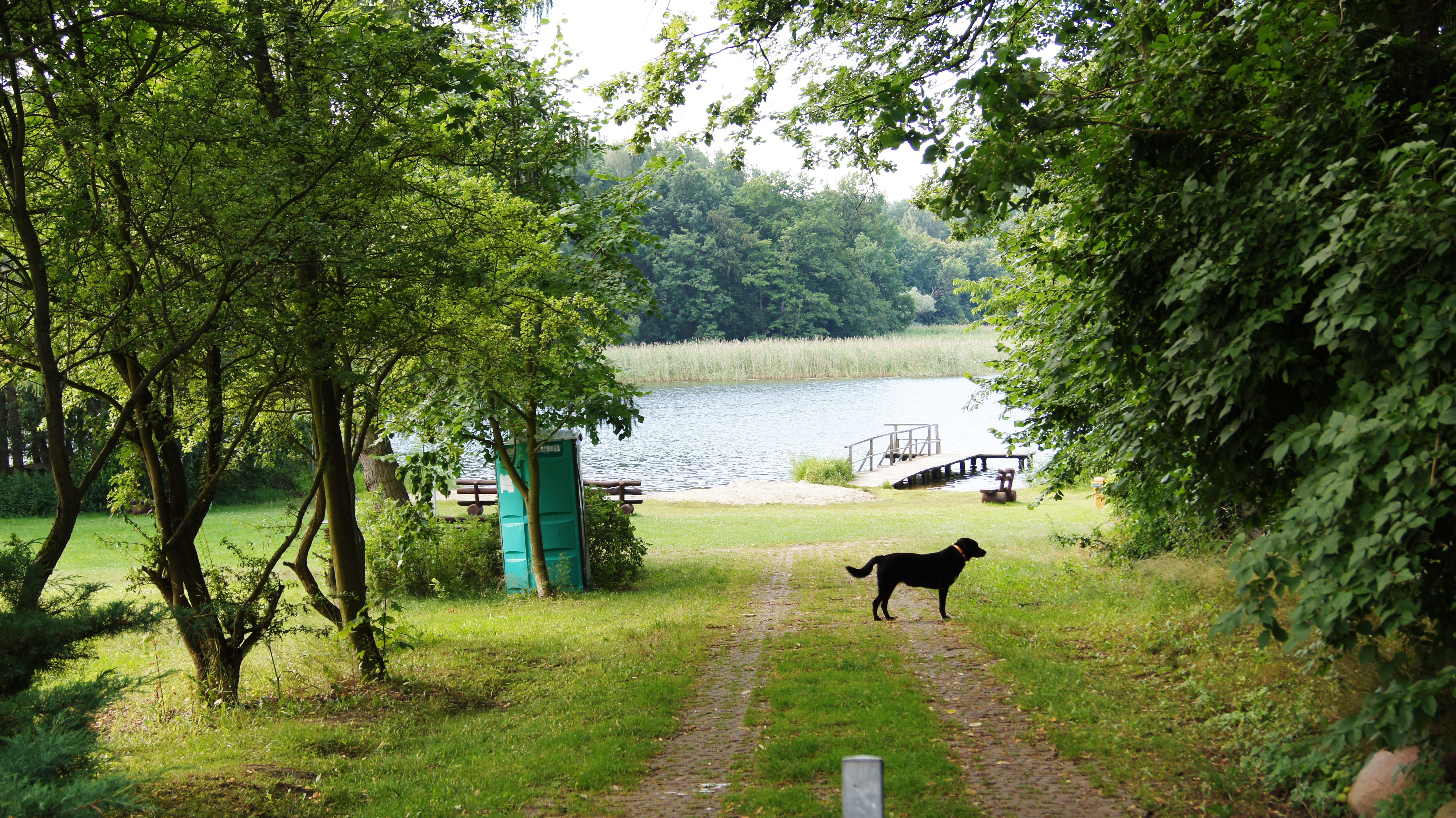 Fleeth Ferienwohnung Weg zum See